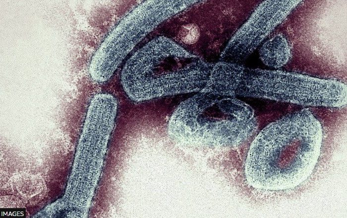 Ghana confirms first cases of deadly Marburg virus