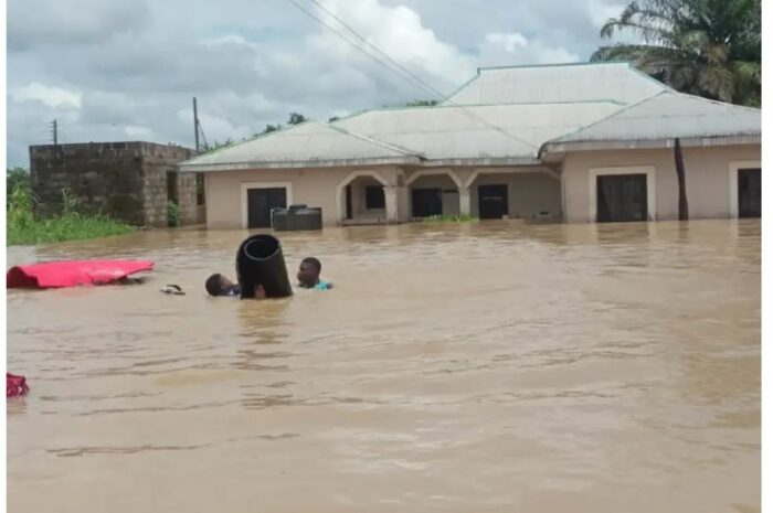 Flood: Over 1.5m Nigerian children at risk – UNICEF